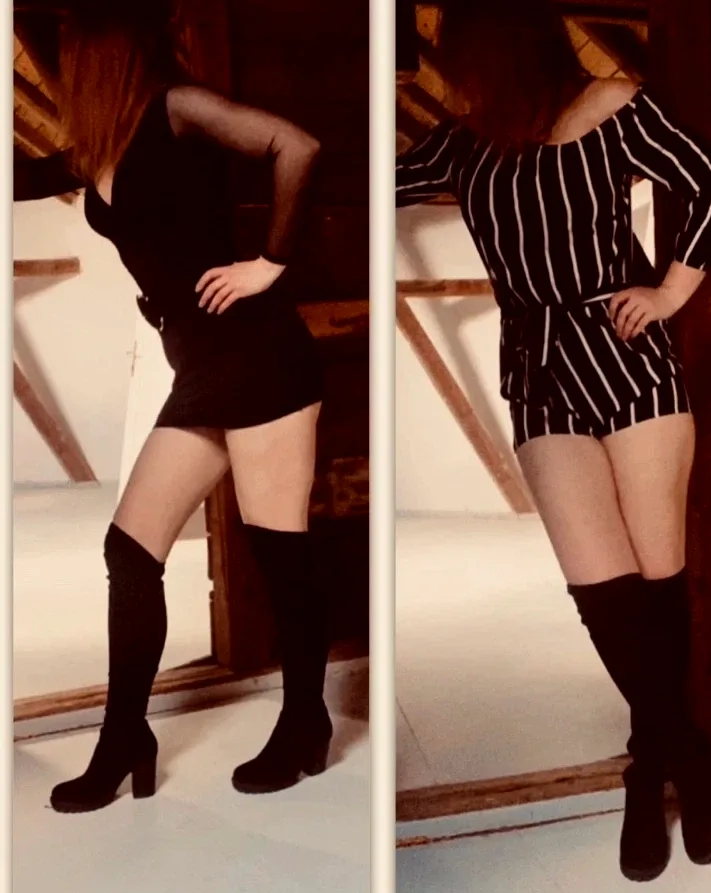 Feline, 20